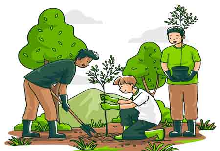 Building a Sustainable Future Through Environmental Education